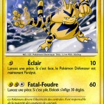 POKEMON-ELEKTEK-CARTE-FRANCE